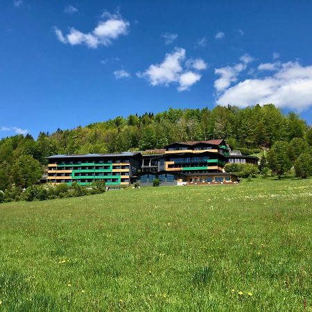 Natura Hotel Bodenmais - Inkl Soft- Und Heissgetraenkeflat Exterior foto